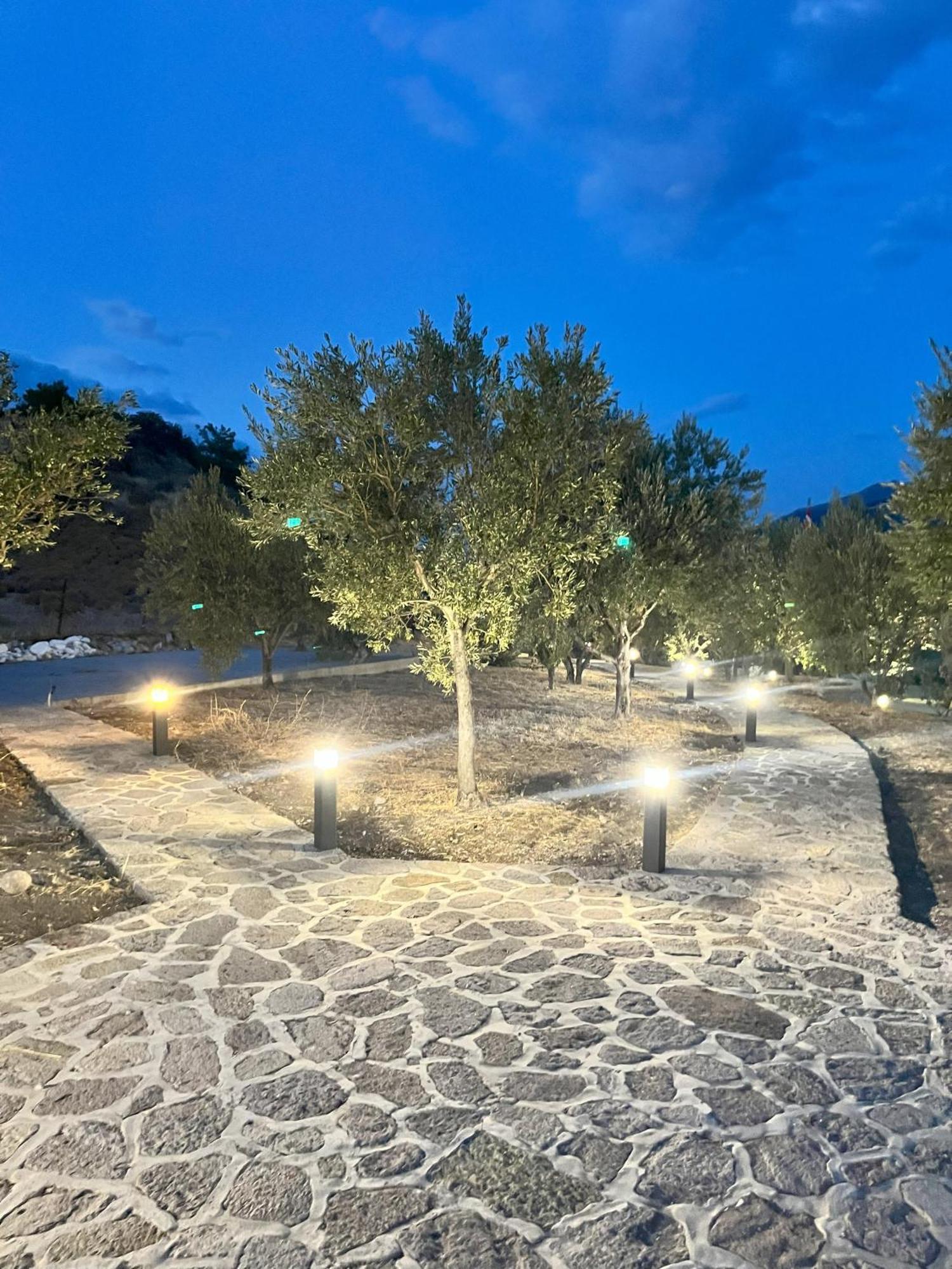 Hotel Defkalion Петра Екстериор снимка